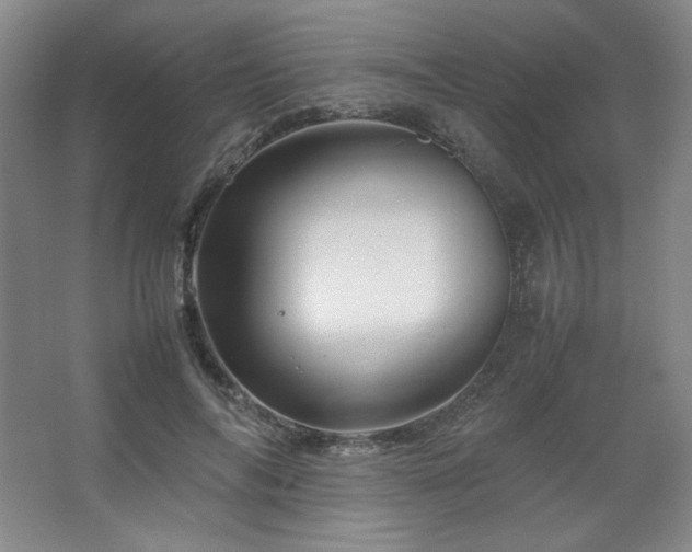 X0000067460694200604071128