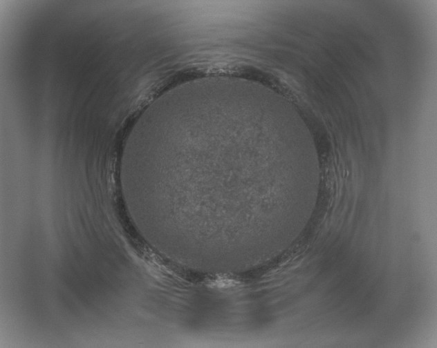 X0000067460695200604071128