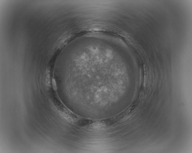 X0000067460696200604071128