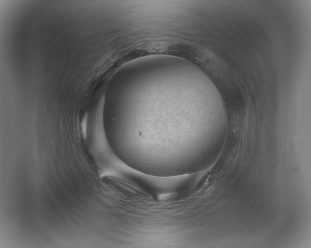 X0000067460697200604071128