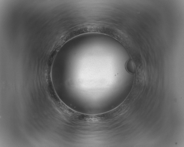 X0000067460698200604071128