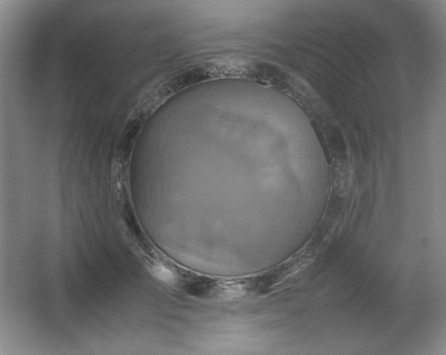 X0000067460701200604071128