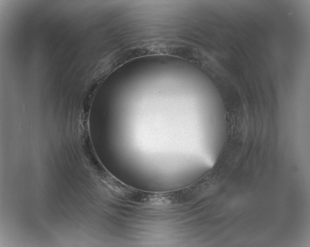 X0000067460702200604071128