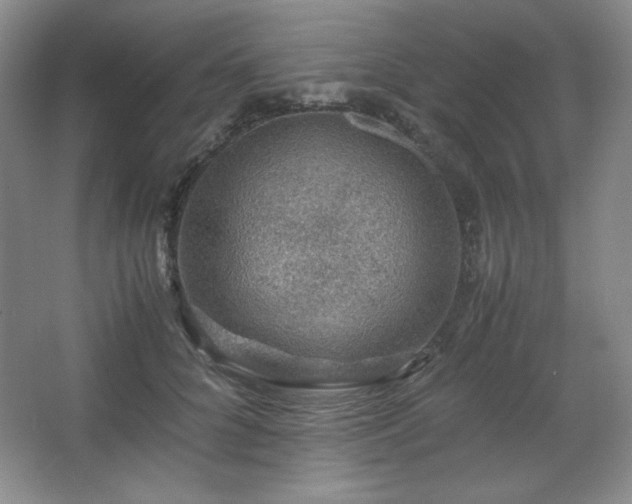 X0000067460704200604071128