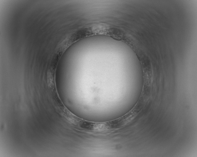 X0000067460705200604071128