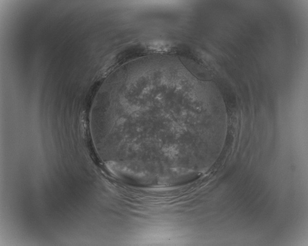 X0000067460707200604071128