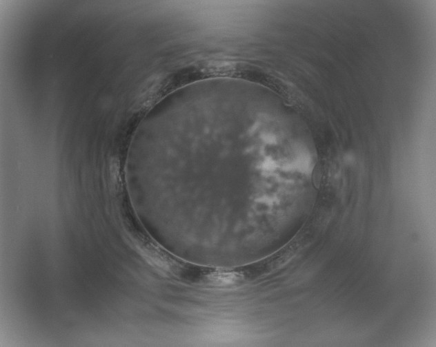 X0000067460711200604071128