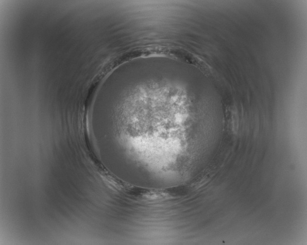 X0000067460712200604071128