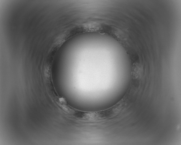 X0000067460713200604071128