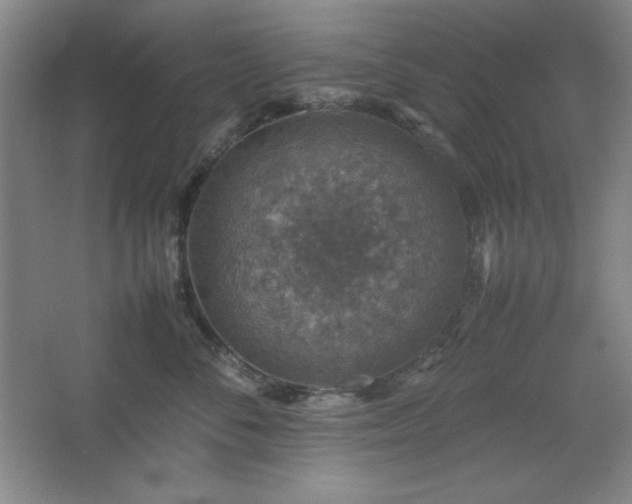 X0000067460716200604071128