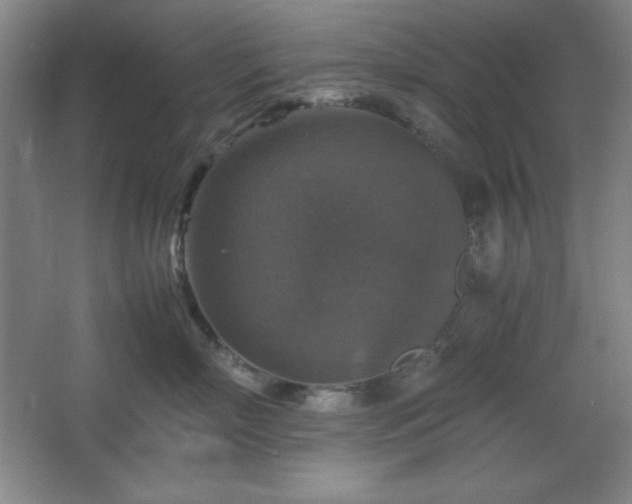 X0000067460718200604071128