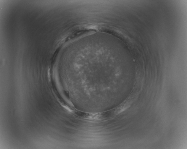 X0000067460720200604071128