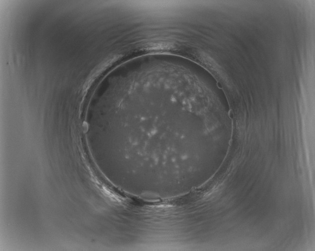 X0000067460721200604071127