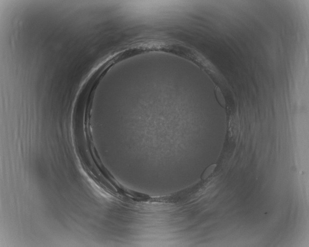 X0000067460722200604071127