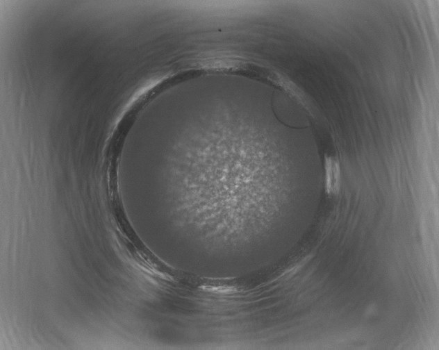 X0000067460723200604071127