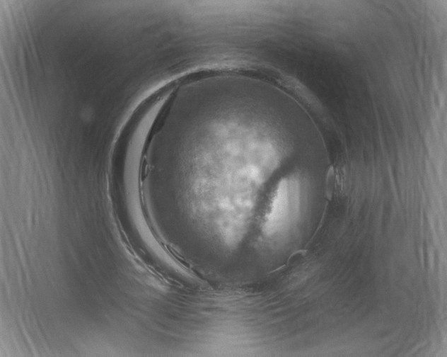 X0000067460724200604071127