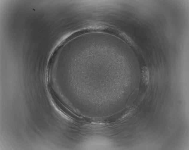 X0000067460726200604071127