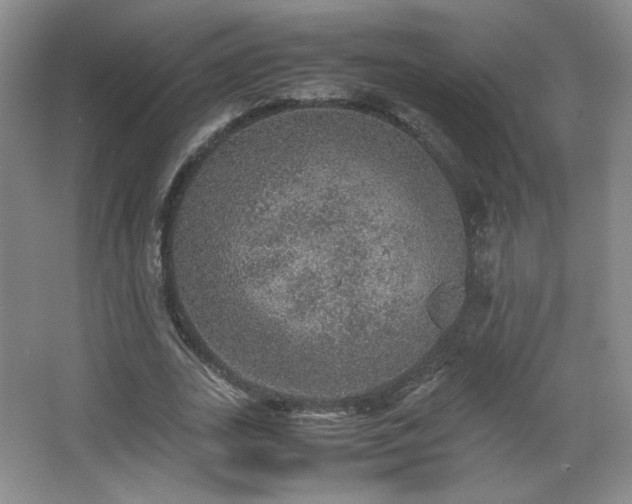 X0000067460727200604071127