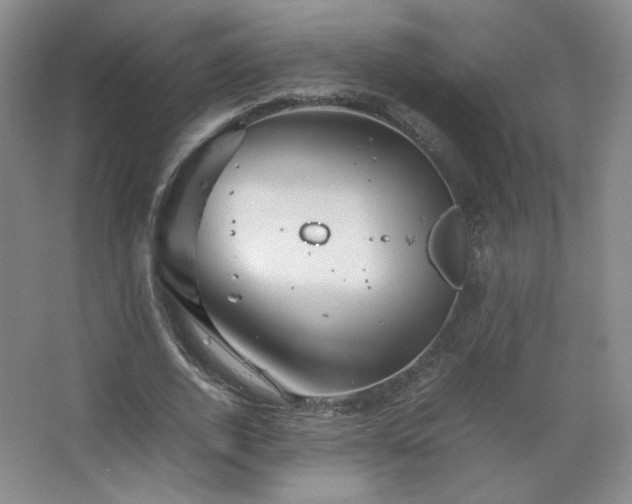 X0000067460728200604071127