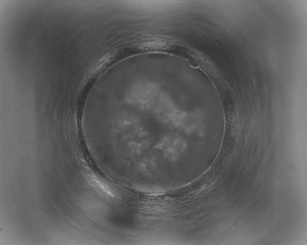 X0000067460729200604071127