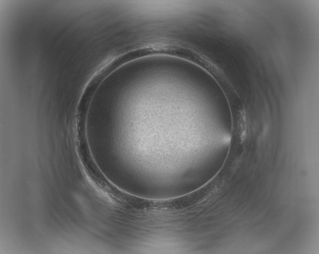 X0000067460730200604071127