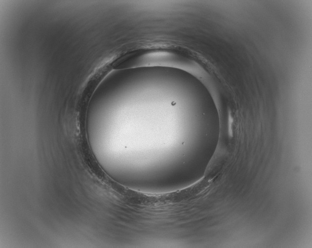 X0000067460731200604071127