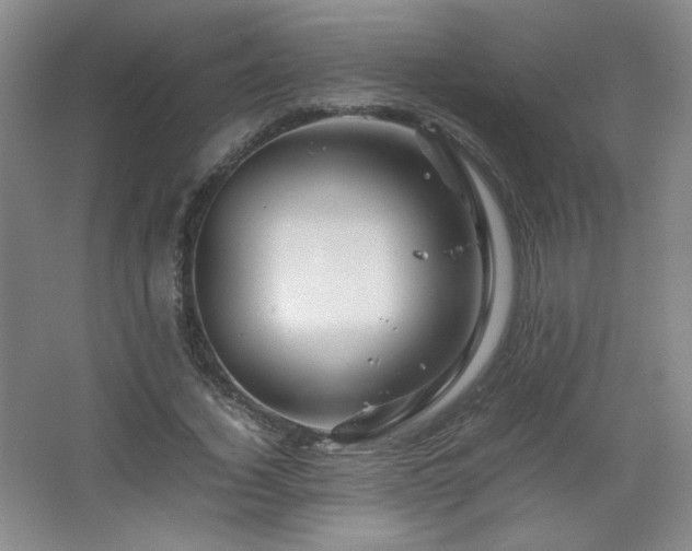 X0000067460732200604071127