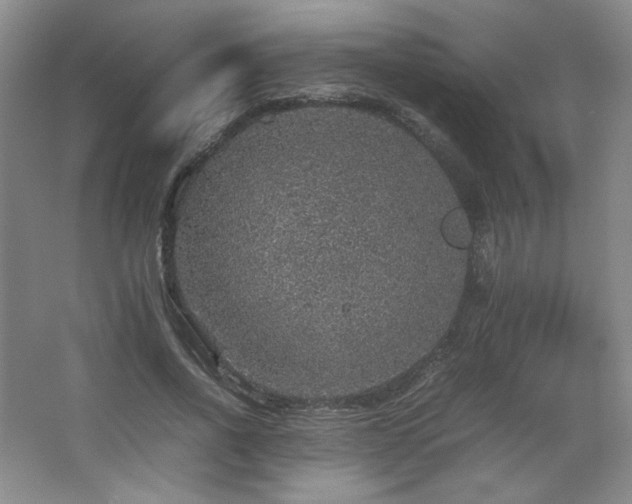 X0000067460734200604071127