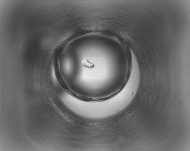 X0000067460735200604071127