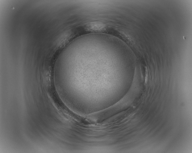 X0000067460739200604071127