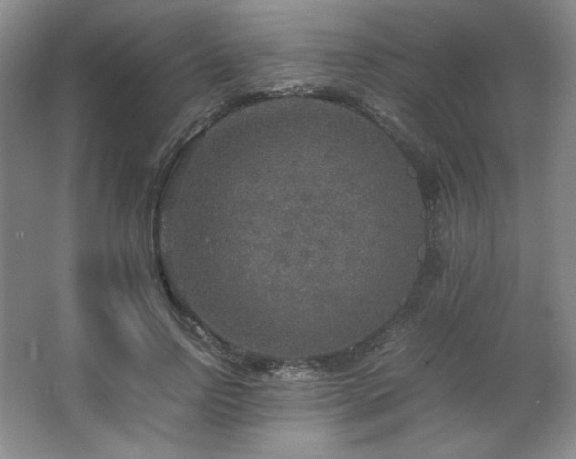 X0000067460742200604071127