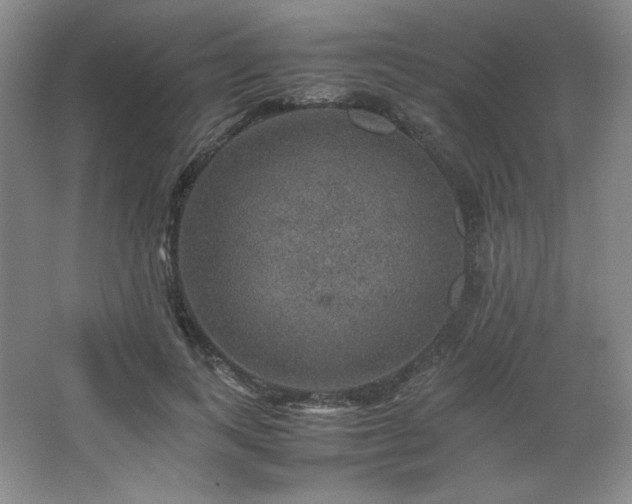 X0000067460743200604071127