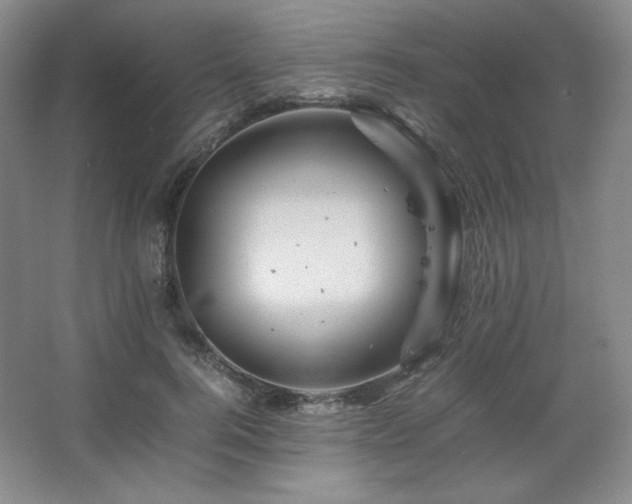 X0000067460744200604071127