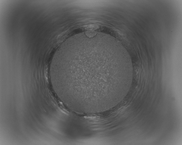 X0000067460745200604071127