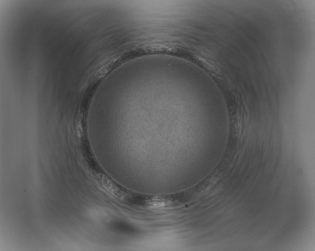 X0000067460746200604071128