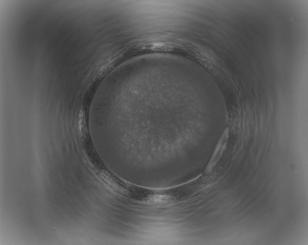 X0000067460748200604071128