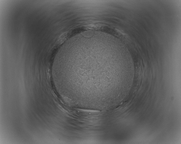 X0000067460749200604071128