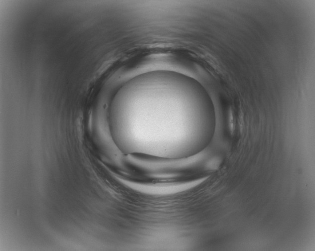 X0000067460750200604071128