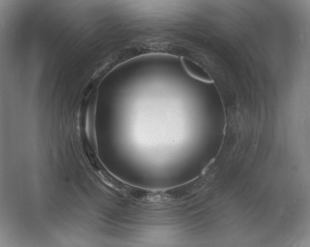 X0000067460752200604071128