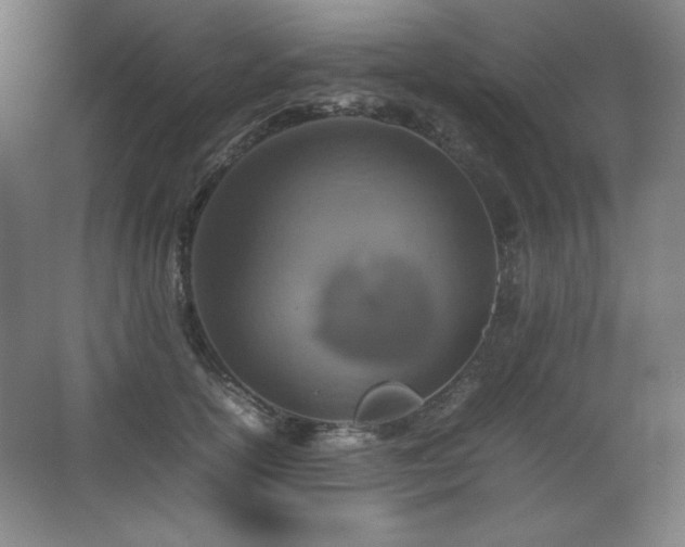 X0000067460754200604071128