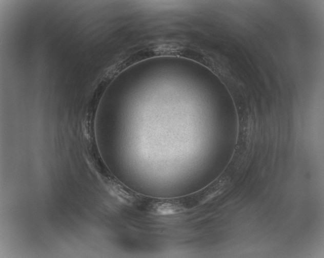 X0000067460755200604071128