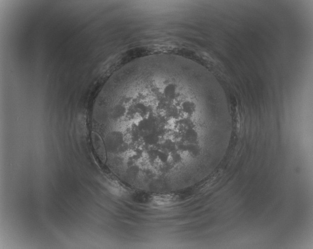 X0000067460757200604071128