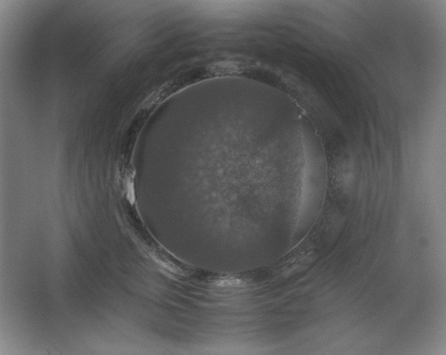 X0000067460759200604071128