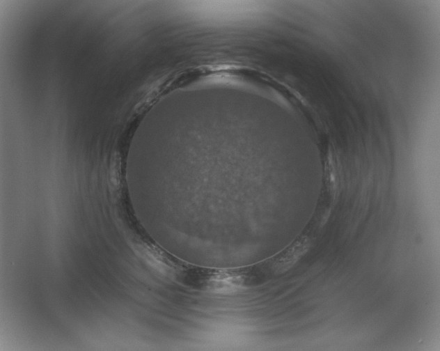 X0000067460760200604071128