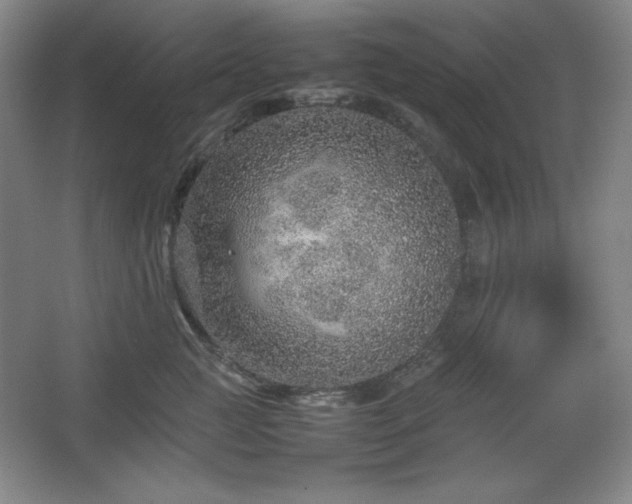 X0000067460761200604071128