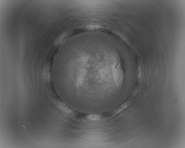 X0000067460762200604071128