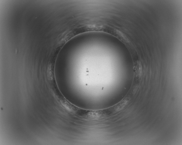 X0000067460764200604071128