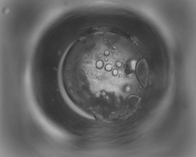 X0000067460765200604071128