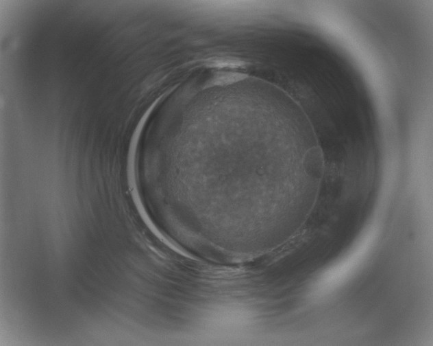 X0000067460766200604071128