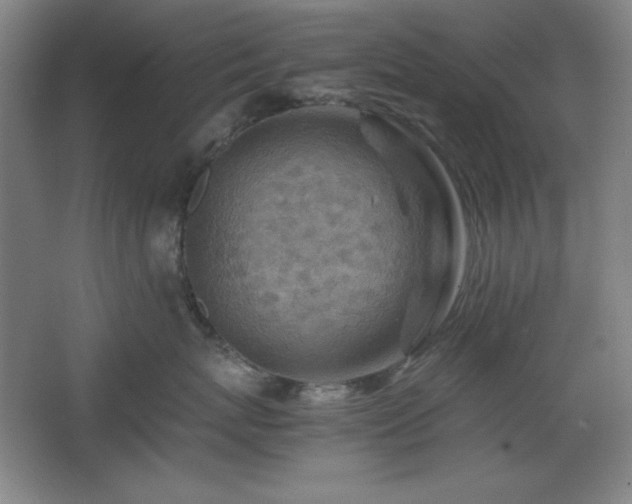 X0000067460767200604071128